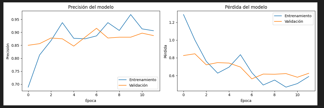 Análisis del modelo de clasificación de frutas